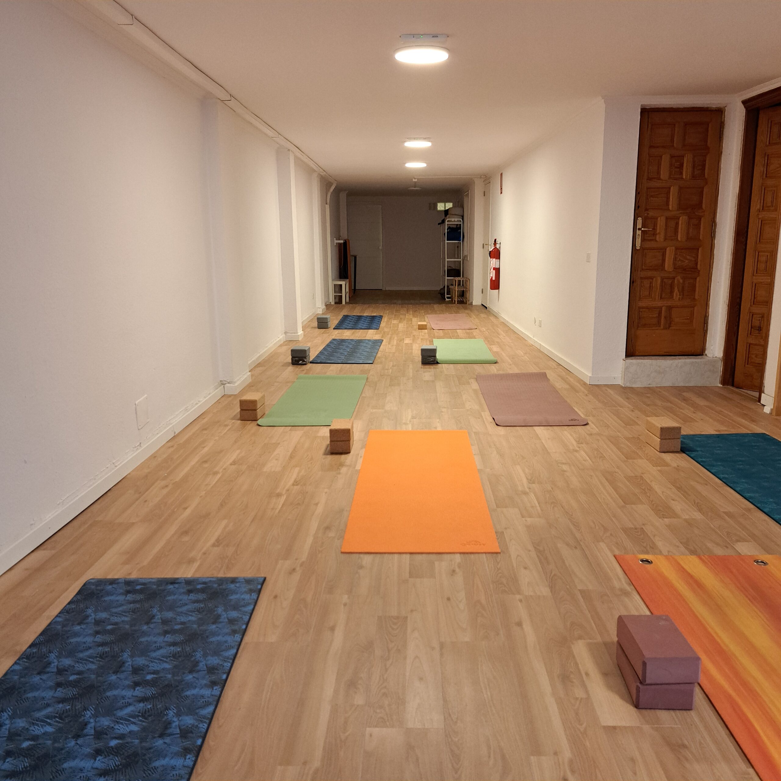 Estudio de yoga con esterillas dispuestas en filas