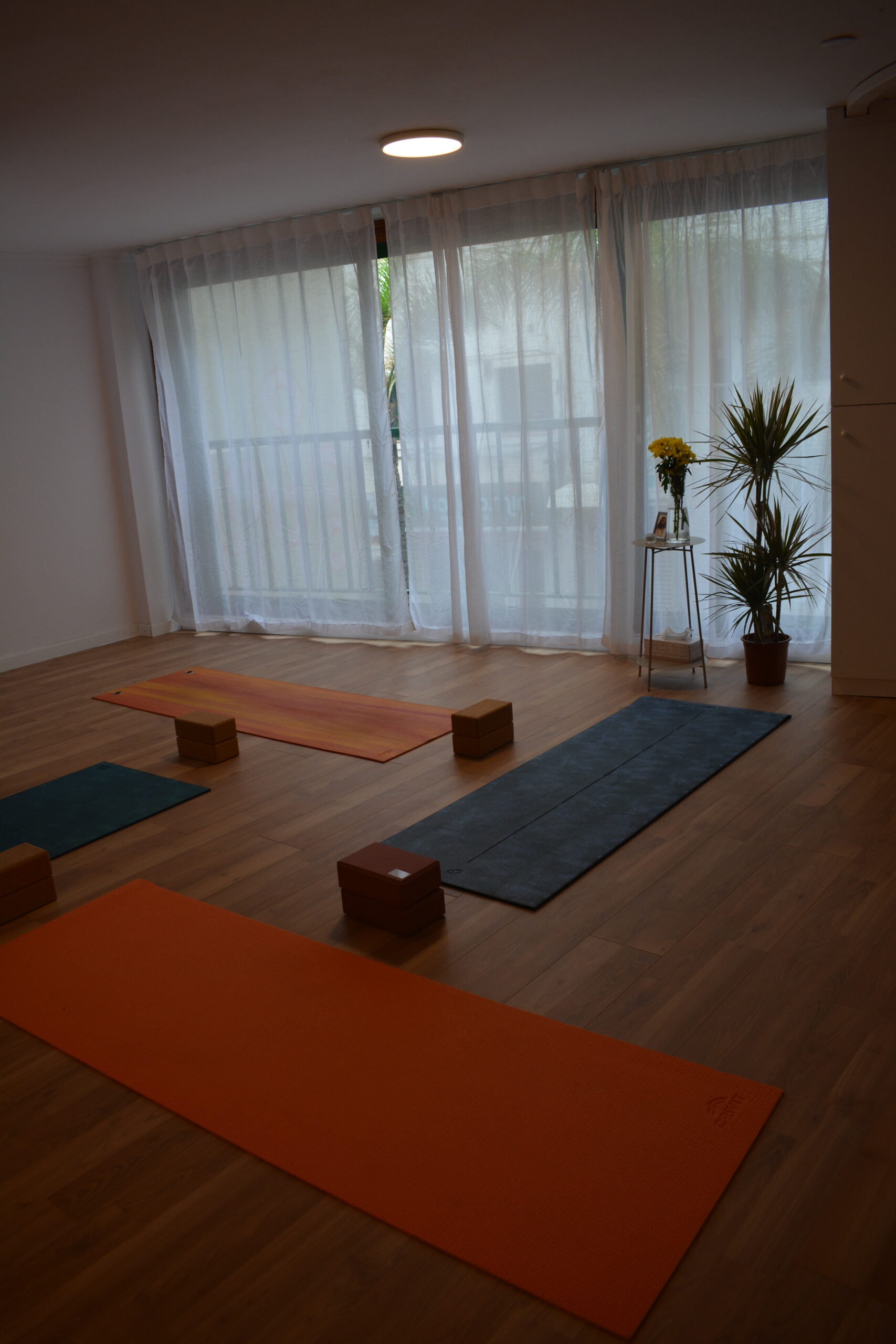 Bright Ocean and Om yoga studio with mats, flowers and plants by the windows