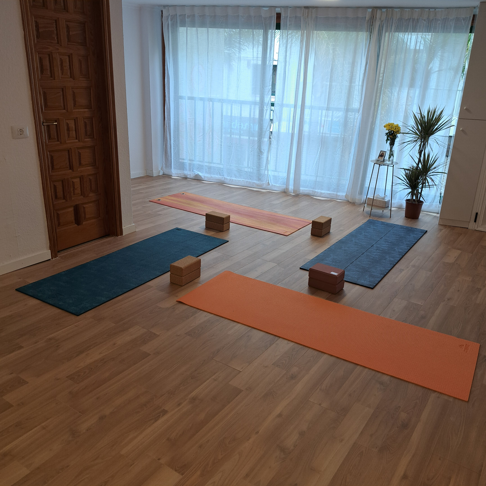 Tres esterillas de yoga con bloques cerca de ventanas y plantas