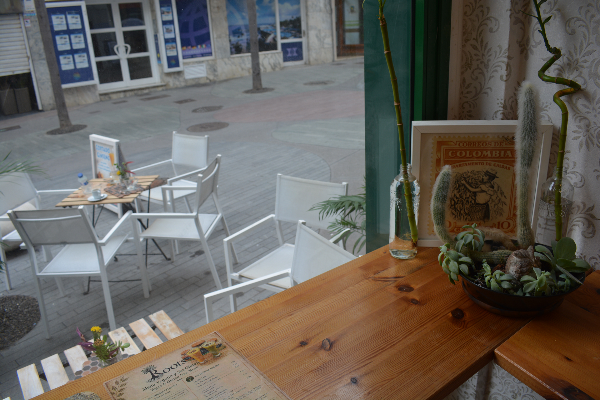 Mesas del cafe vegano junto al ventanal con plantas y decoracion.