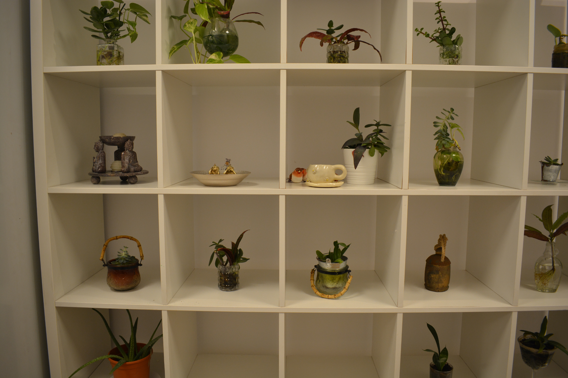 Estanteria blanca con plantas y objetos decorativos del centro.