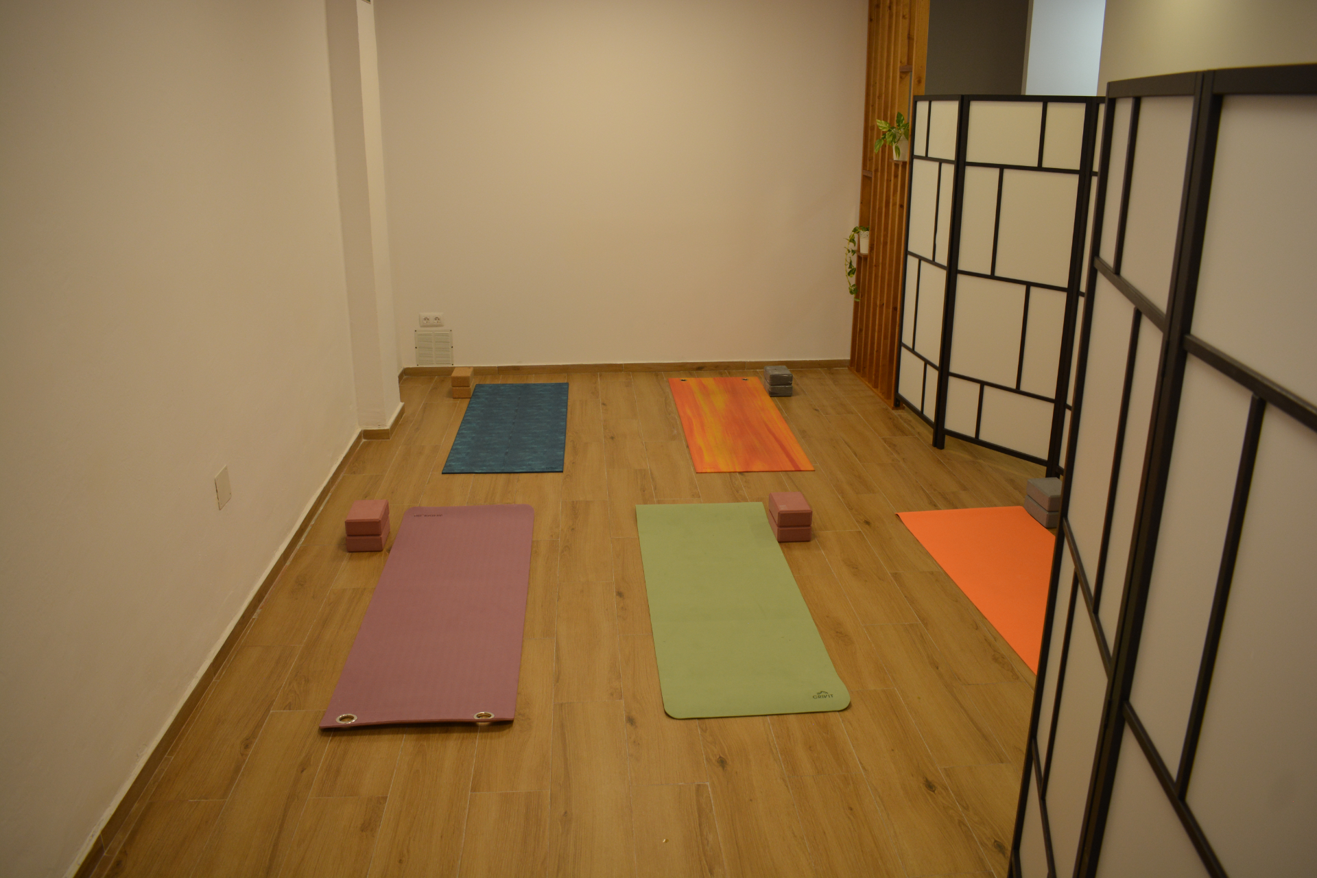 Esterillas de yoga con bloques en un estudio tranquilo