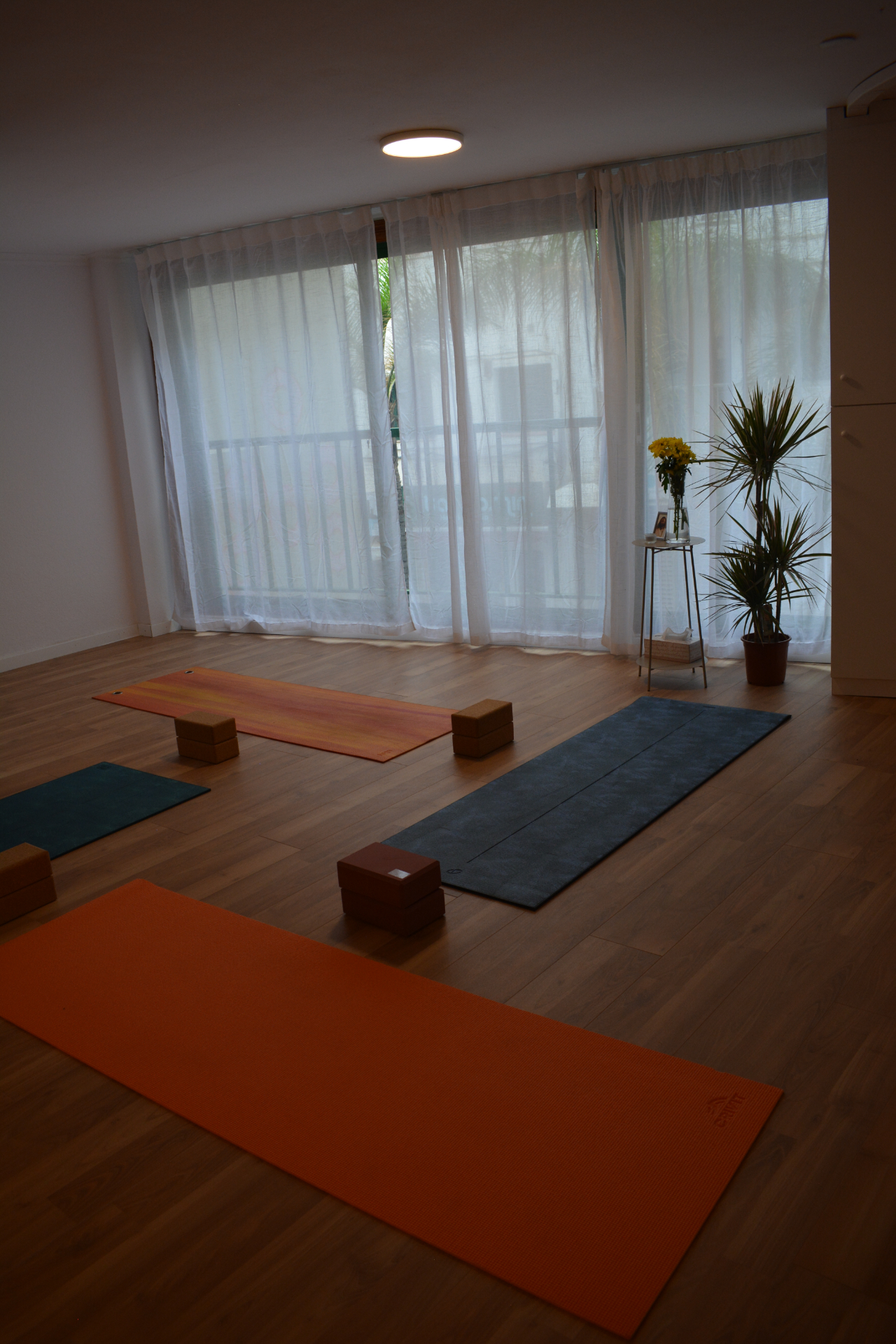 A serene yoga studio with three yoga mats, blocks, and a plant near sheer curtains. Sunlight filters in, creating a calm atmosphere. A small table holds yellow flowers and a candle. The floor is wooden.