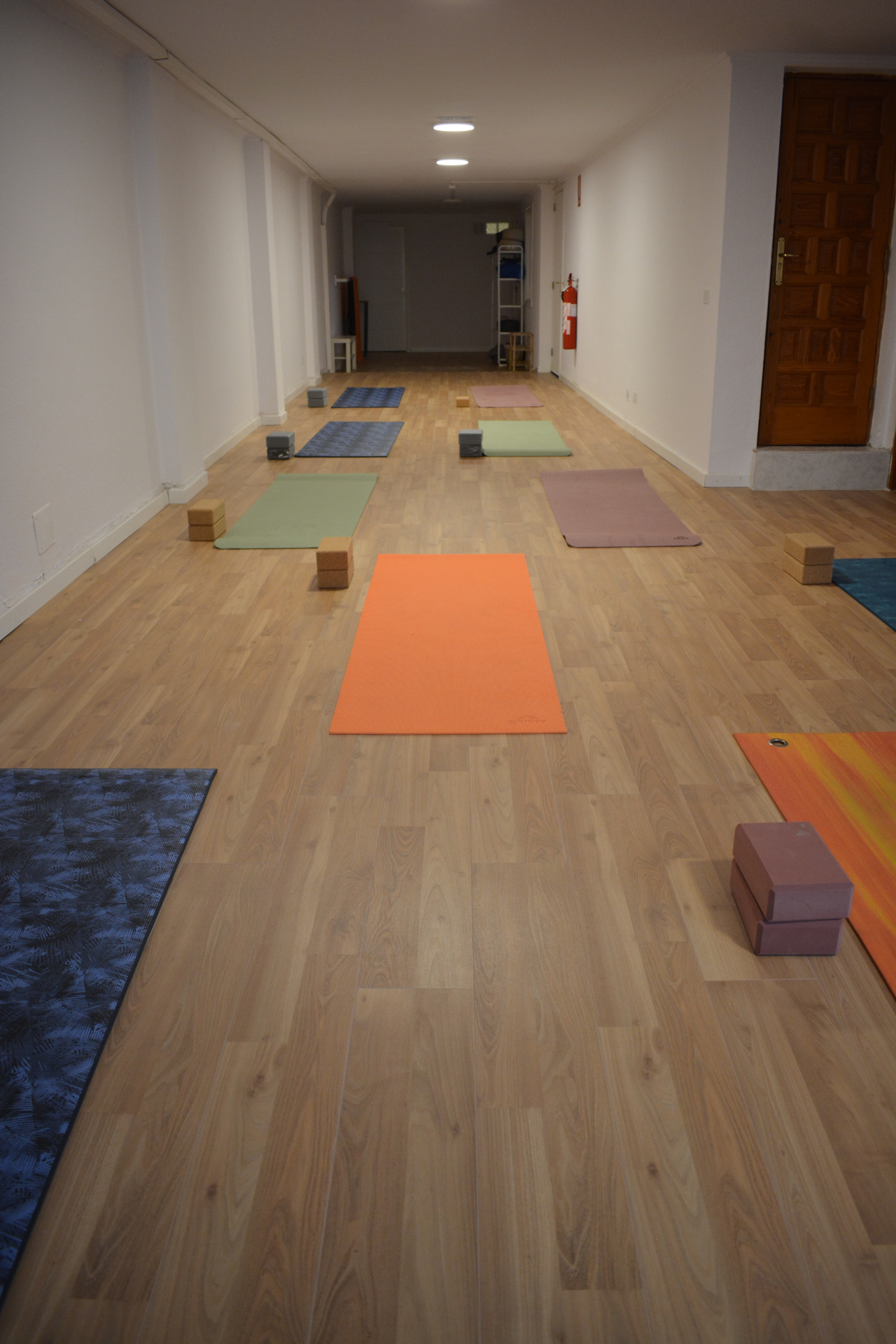 Sala de practica con esterillas, bloques y correas en dos filas.