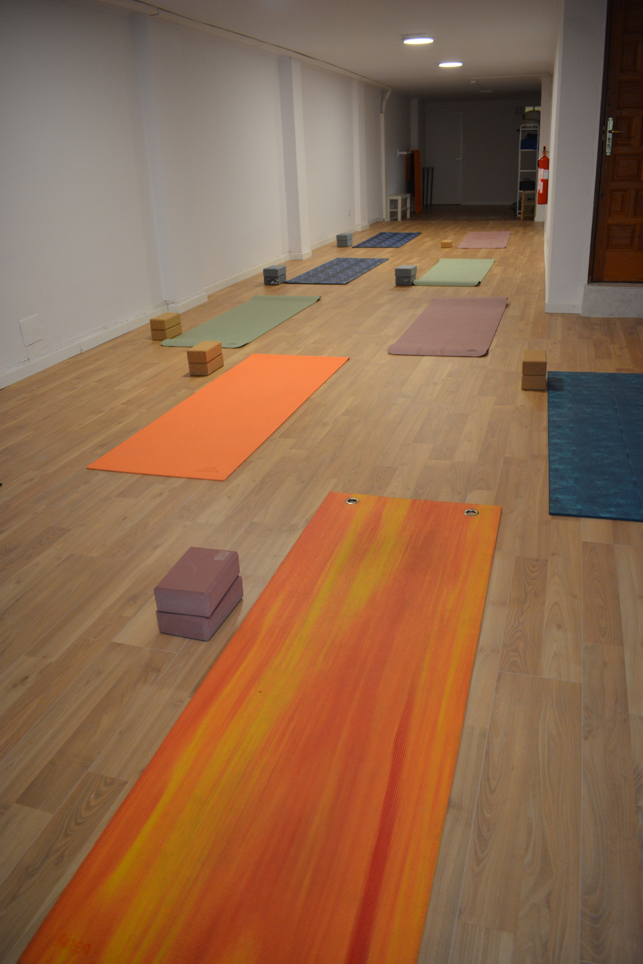 Estudio de yoga con esterillas y bloques dispuestos en filas
